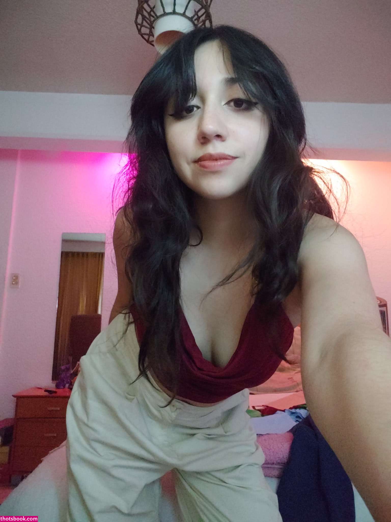 Creator Photo #1942979