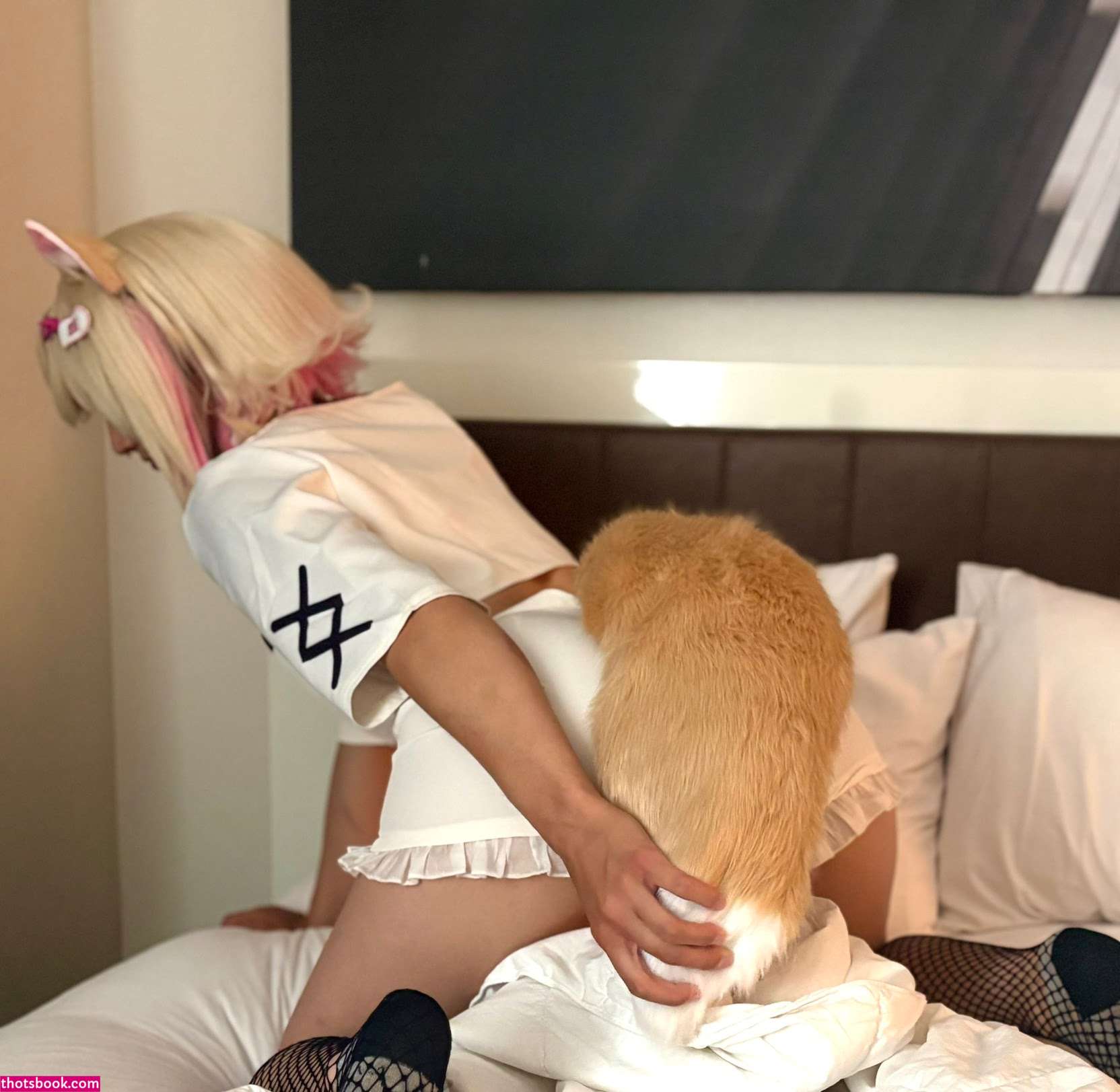 Creator Photo #1943050