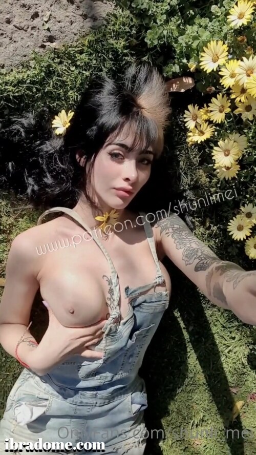 Shunli Mei Video #18