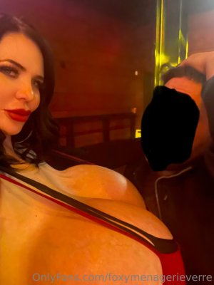 Foxy Menagerie Verre Photo #8