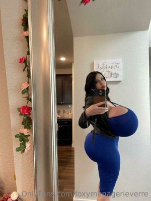 Foxy Menagerie Verre Photo #18