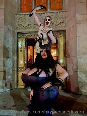 Foxy Menagerie Verre Photo #39