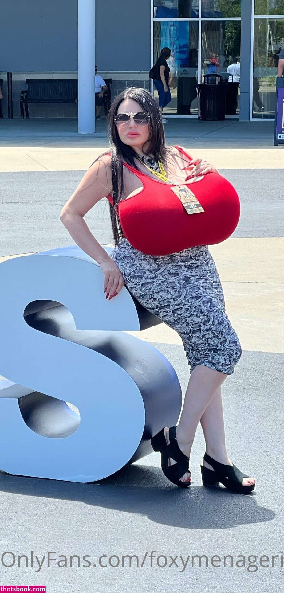 Foxy Menagerie Verre Photo #71