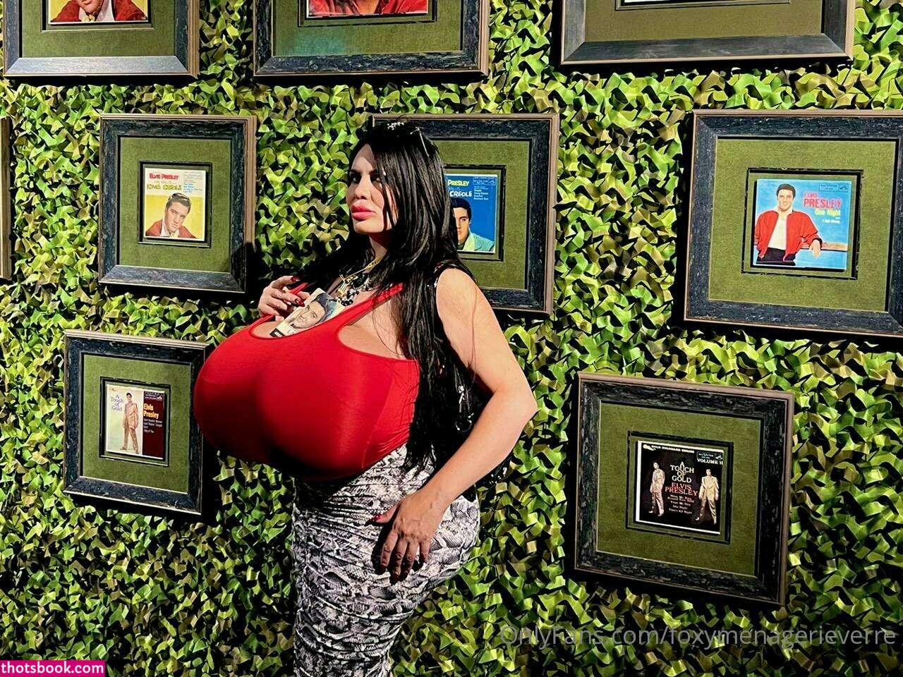 Foxy Menagerie Verre Photo #76