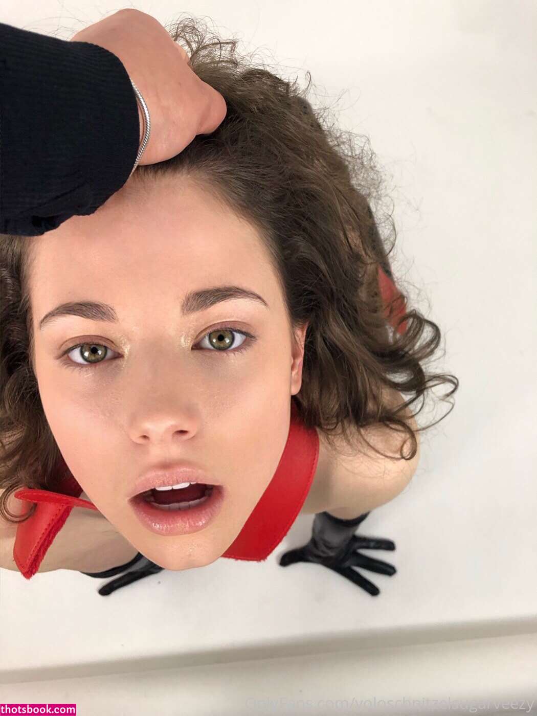 yoloschnitzel Photo #9