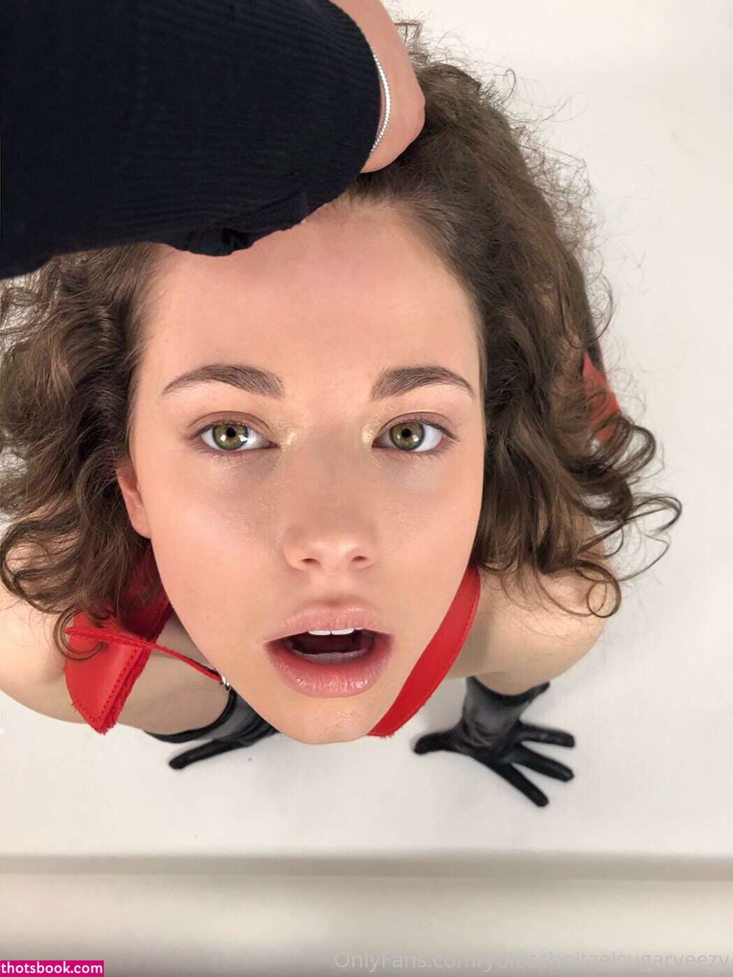 yoloschnitzel Photo #10