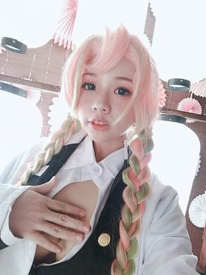 Risanomsyu Photo #61