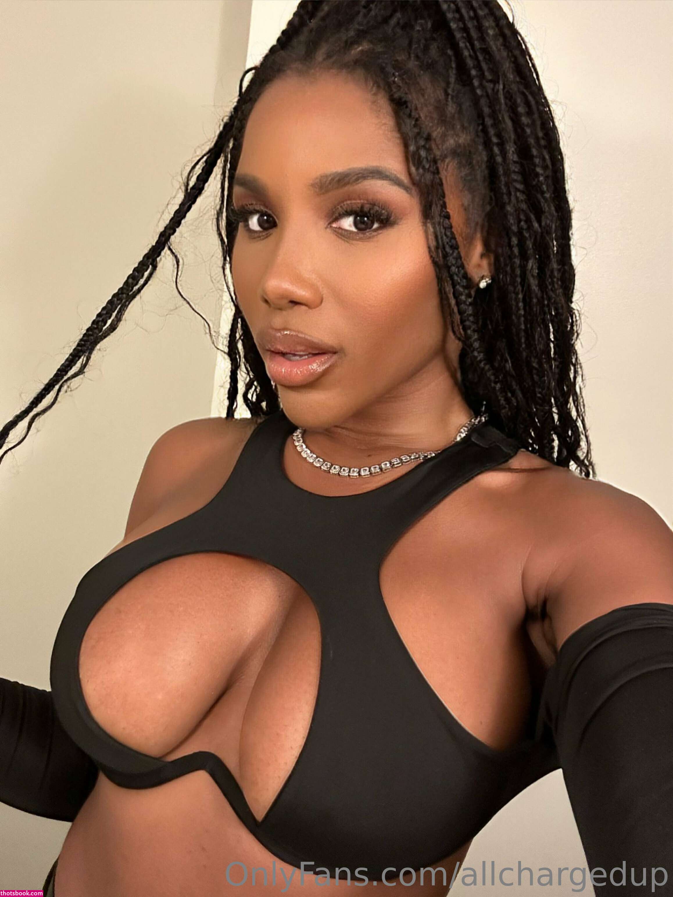 Allchargedup Photo #44