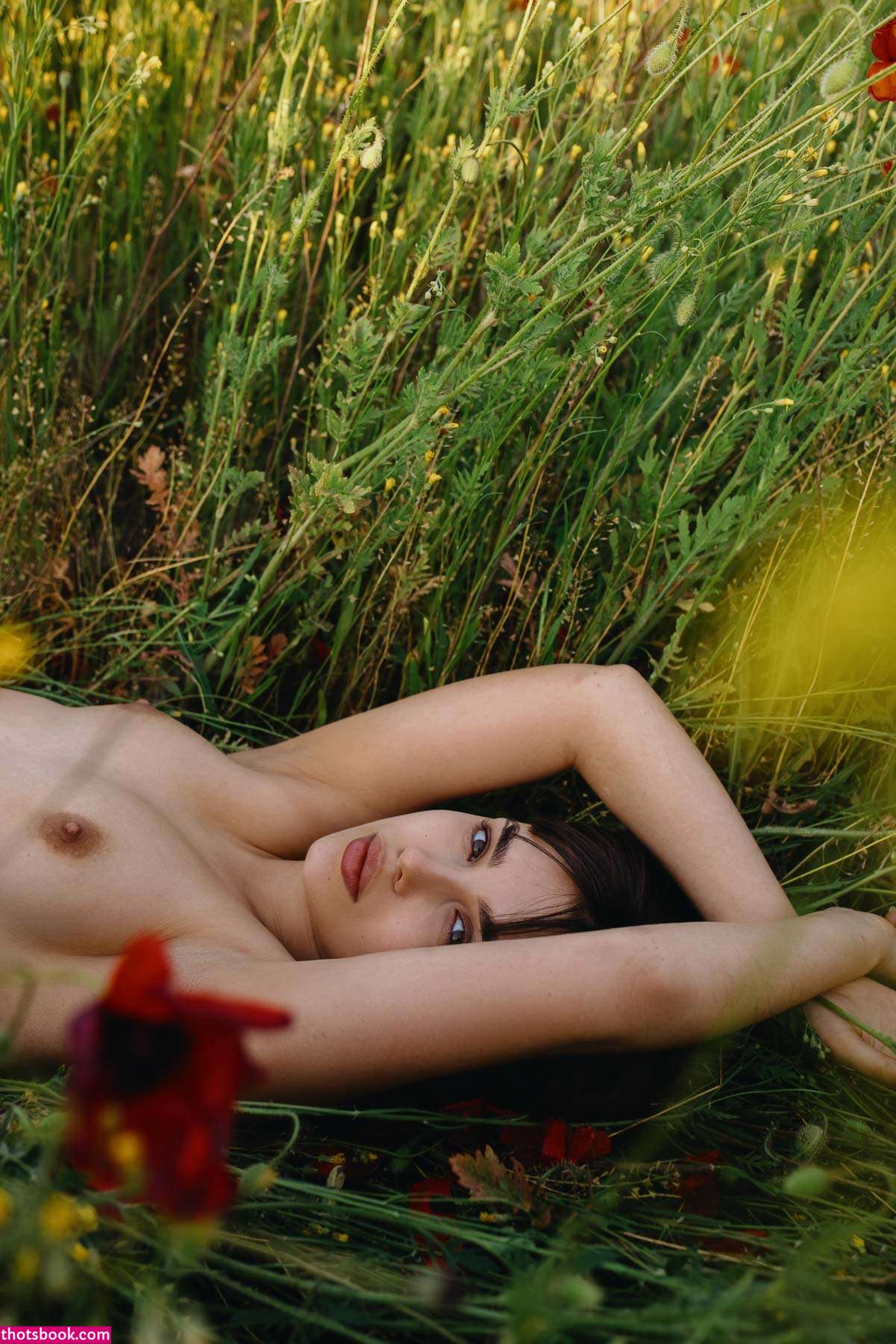 Nemmyhorin Photo #58