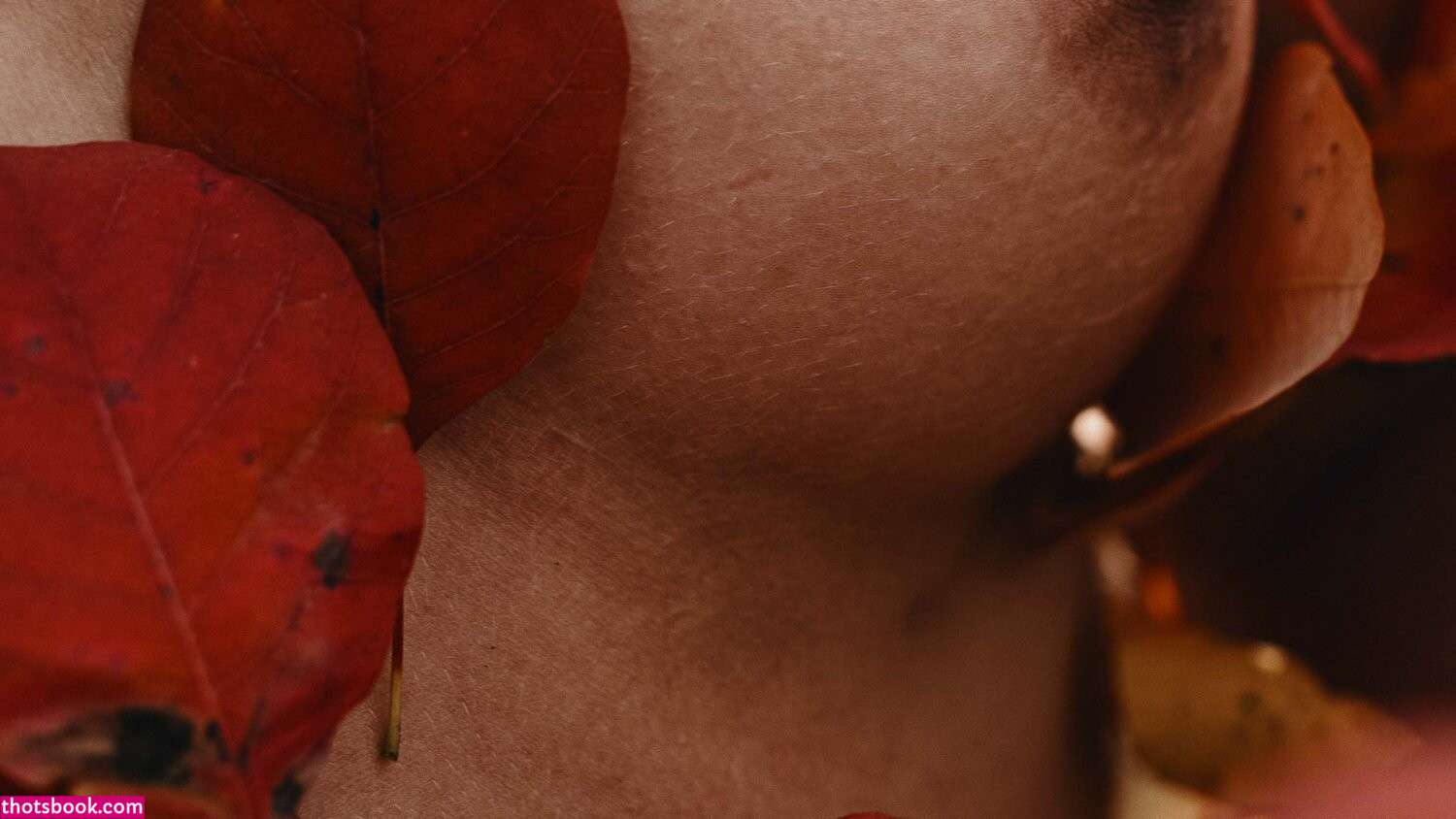 Nemmyhorin Photo #61