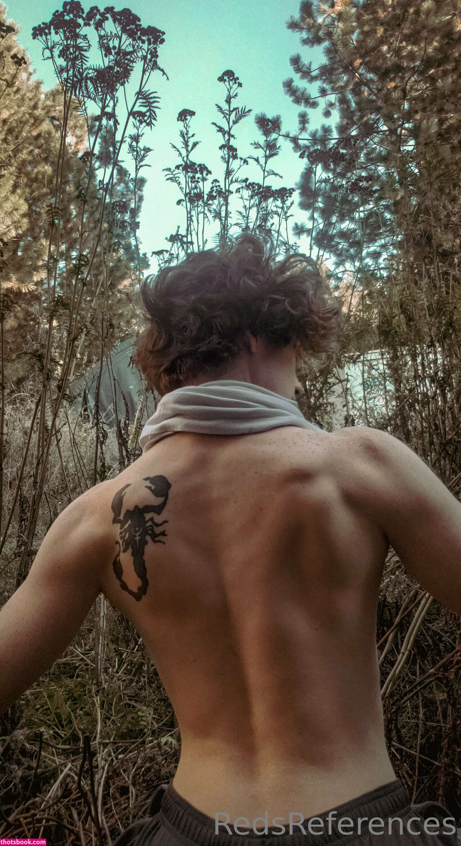 Redsreferences Photo #1