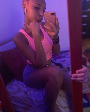 Creator Photo #234305