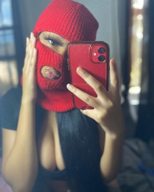 Creator Photo #234322