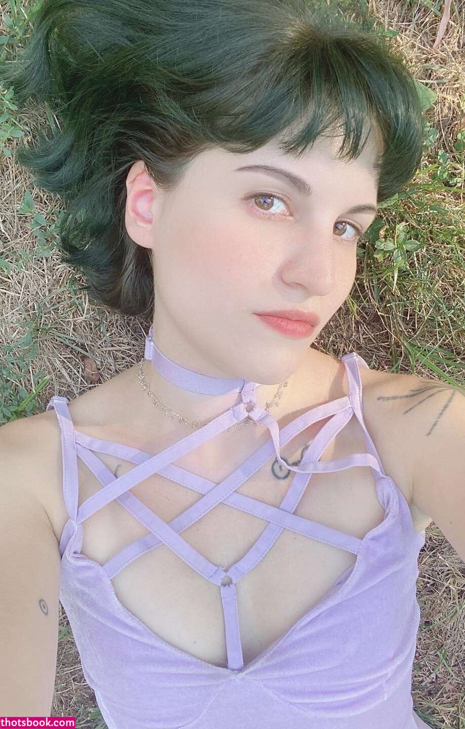 Arils Chest Photo #52