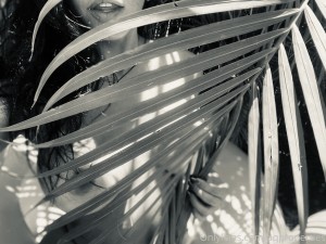 Abella Anderson Photo #21