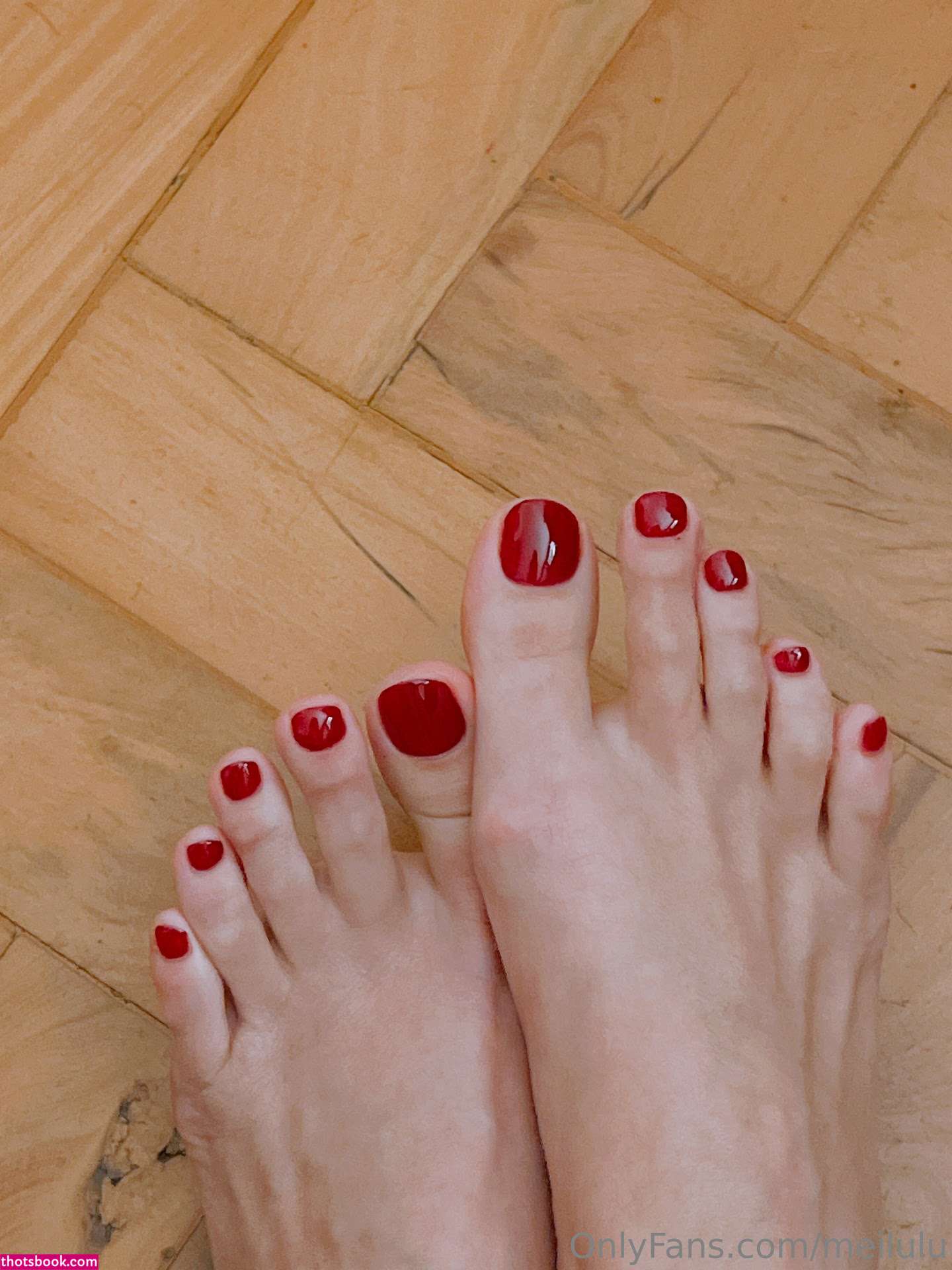 Dentelle Noir Photo #107