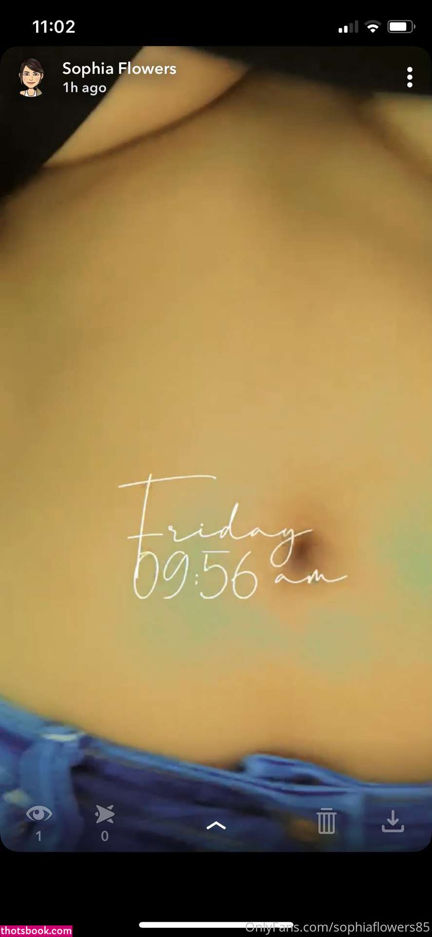 sophiatheminx Photo #25