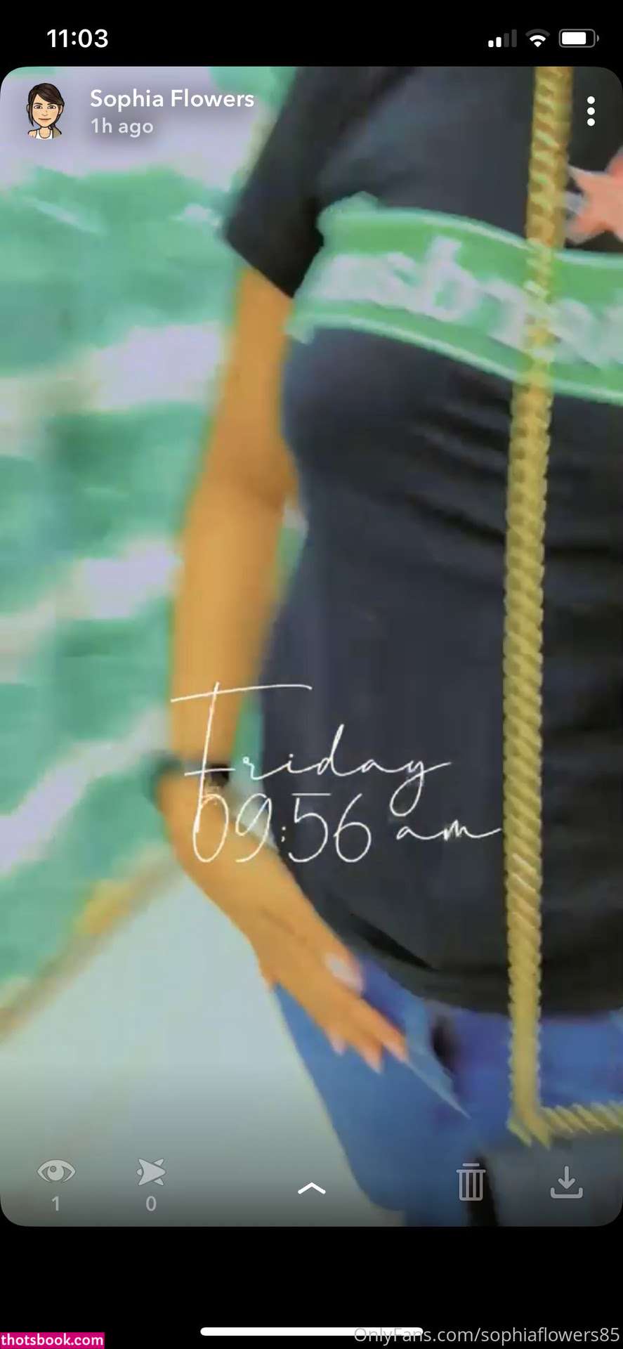 sophiatheminx Photo #26