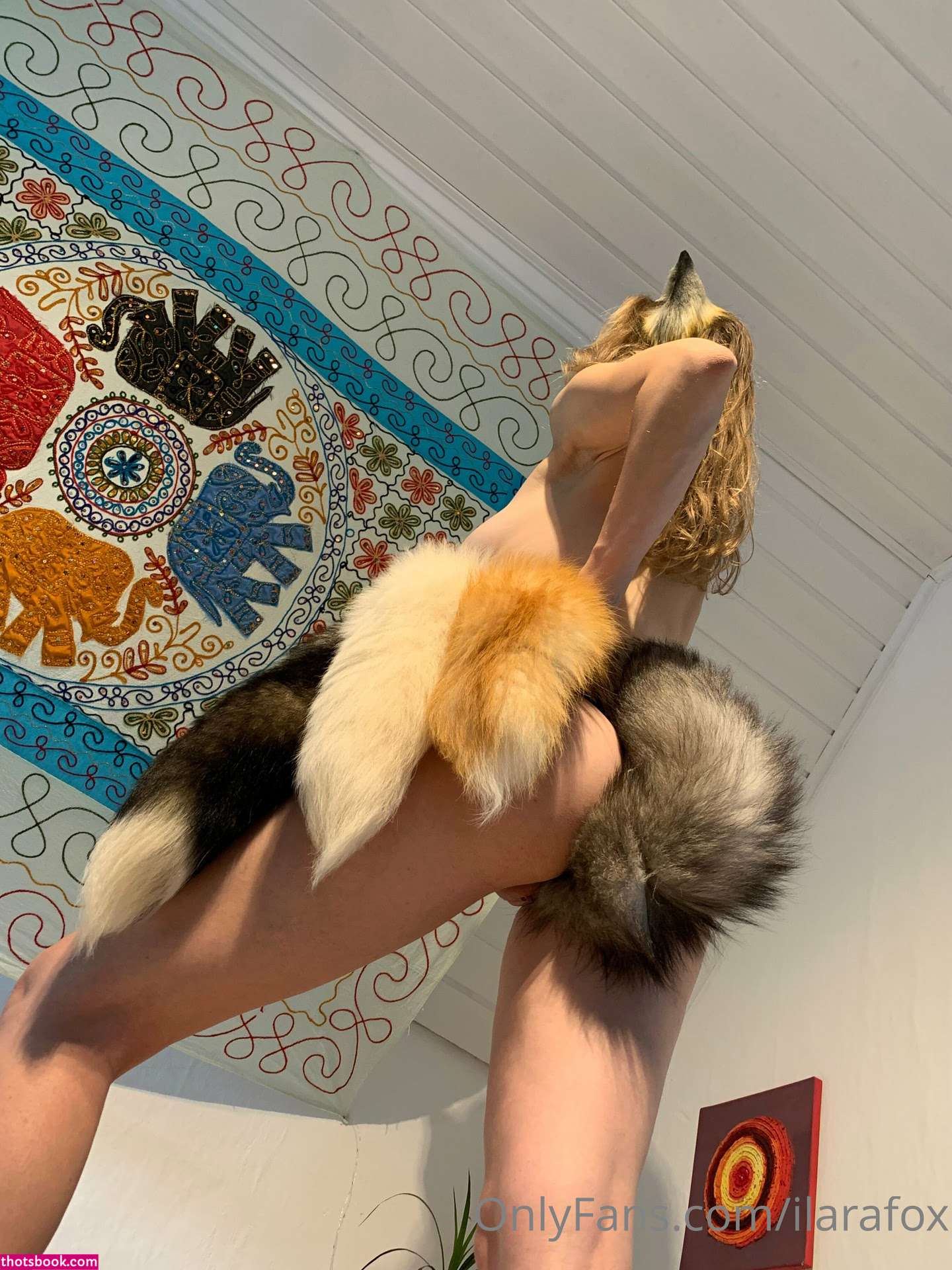 ilarafox Photo #50