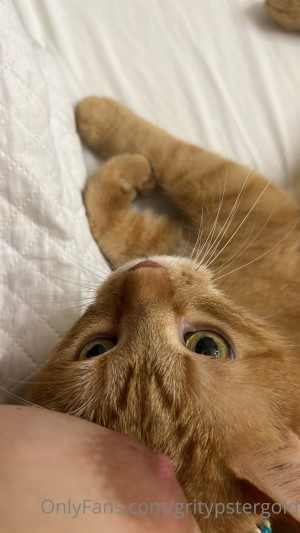 Gritypster Photo #17