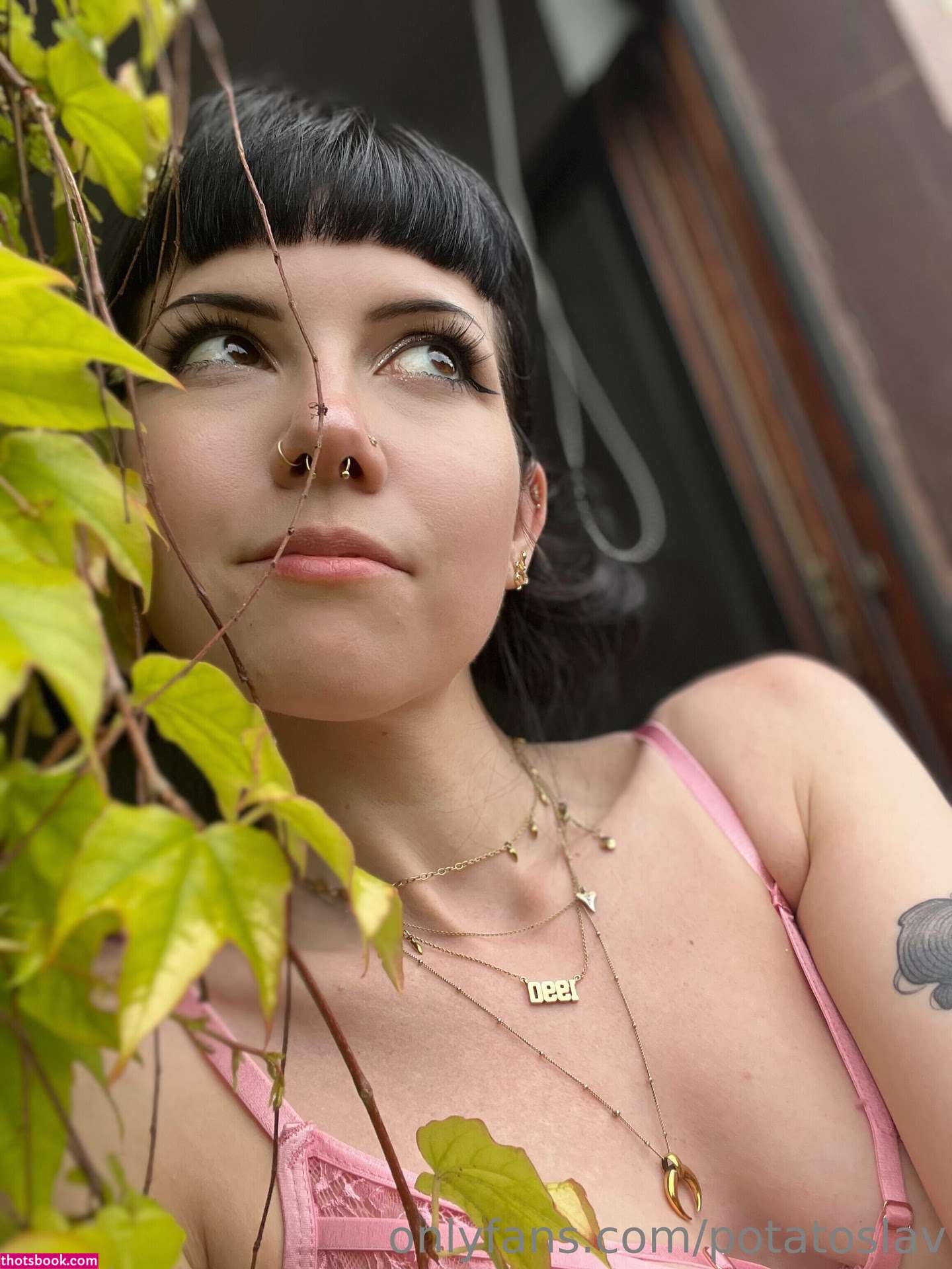 potatoslav Photo #129