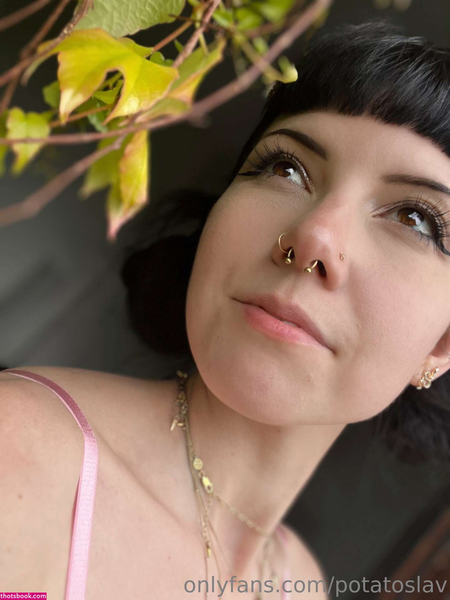 potatoslav Photo #132