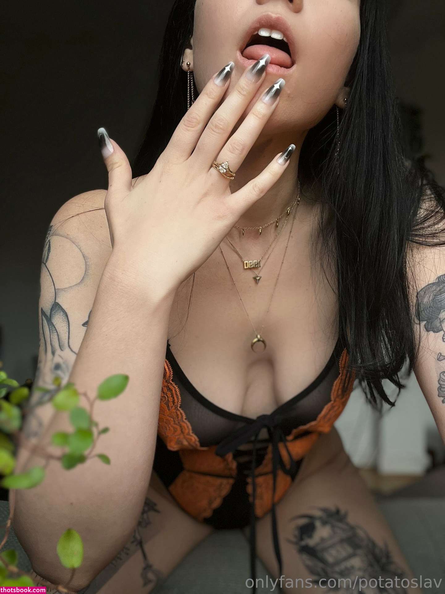 potatoslav Photo #223