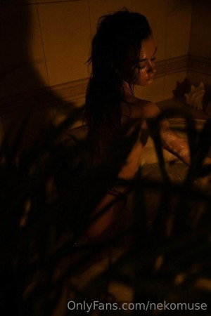Nekomuse Photo #6