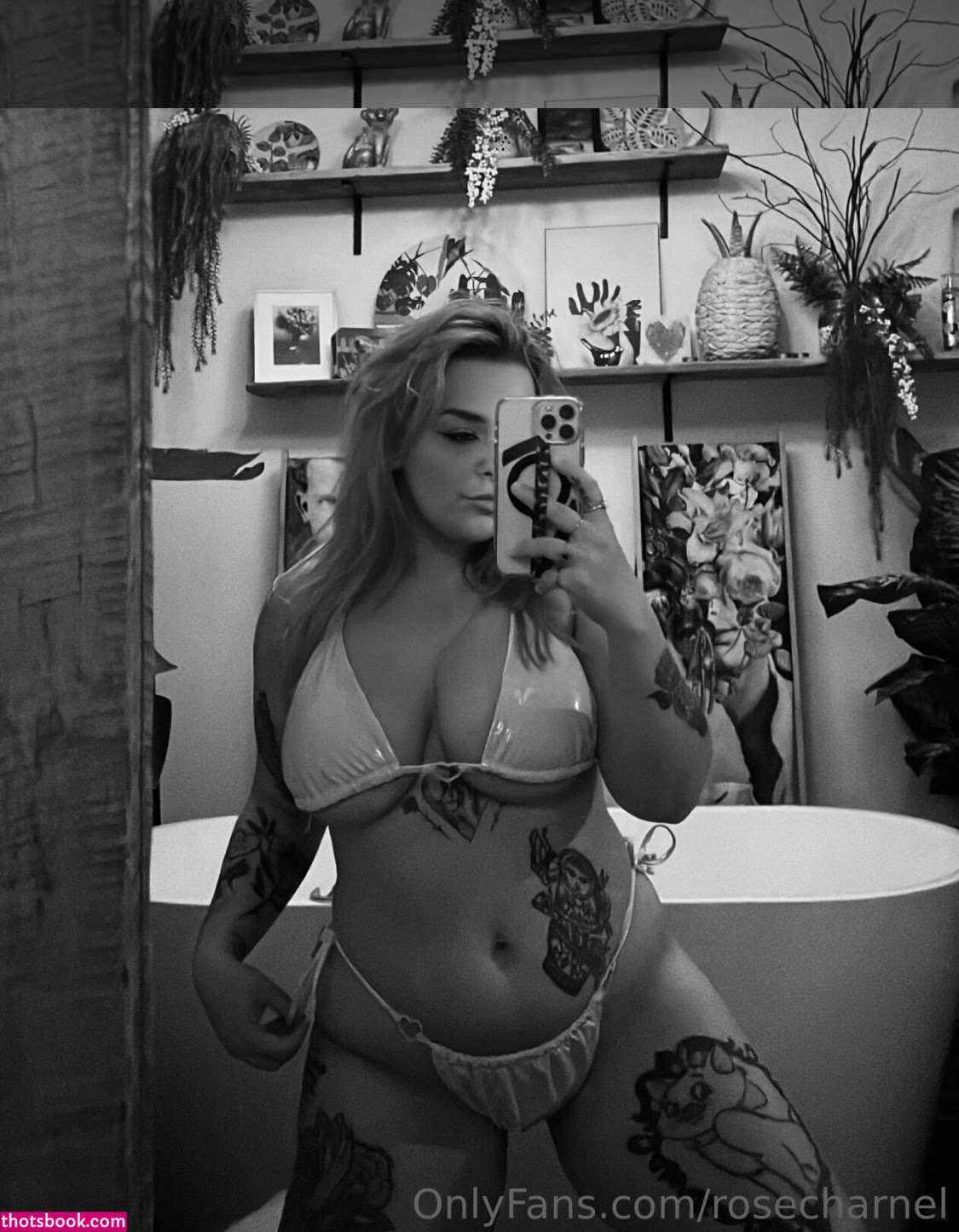 Rosecharnel Photo #41