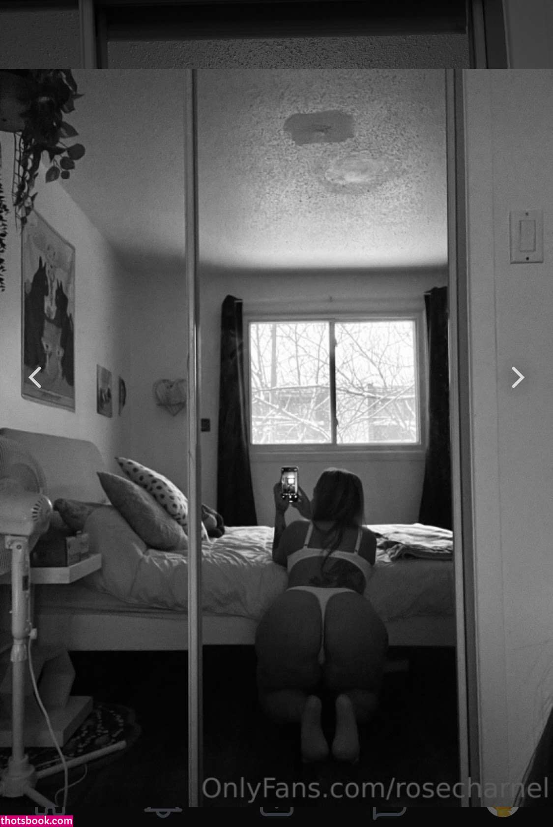 Rosecharnel Photo #65