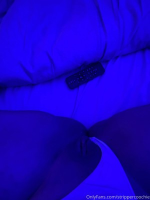 Mel Farahmand Photo #16