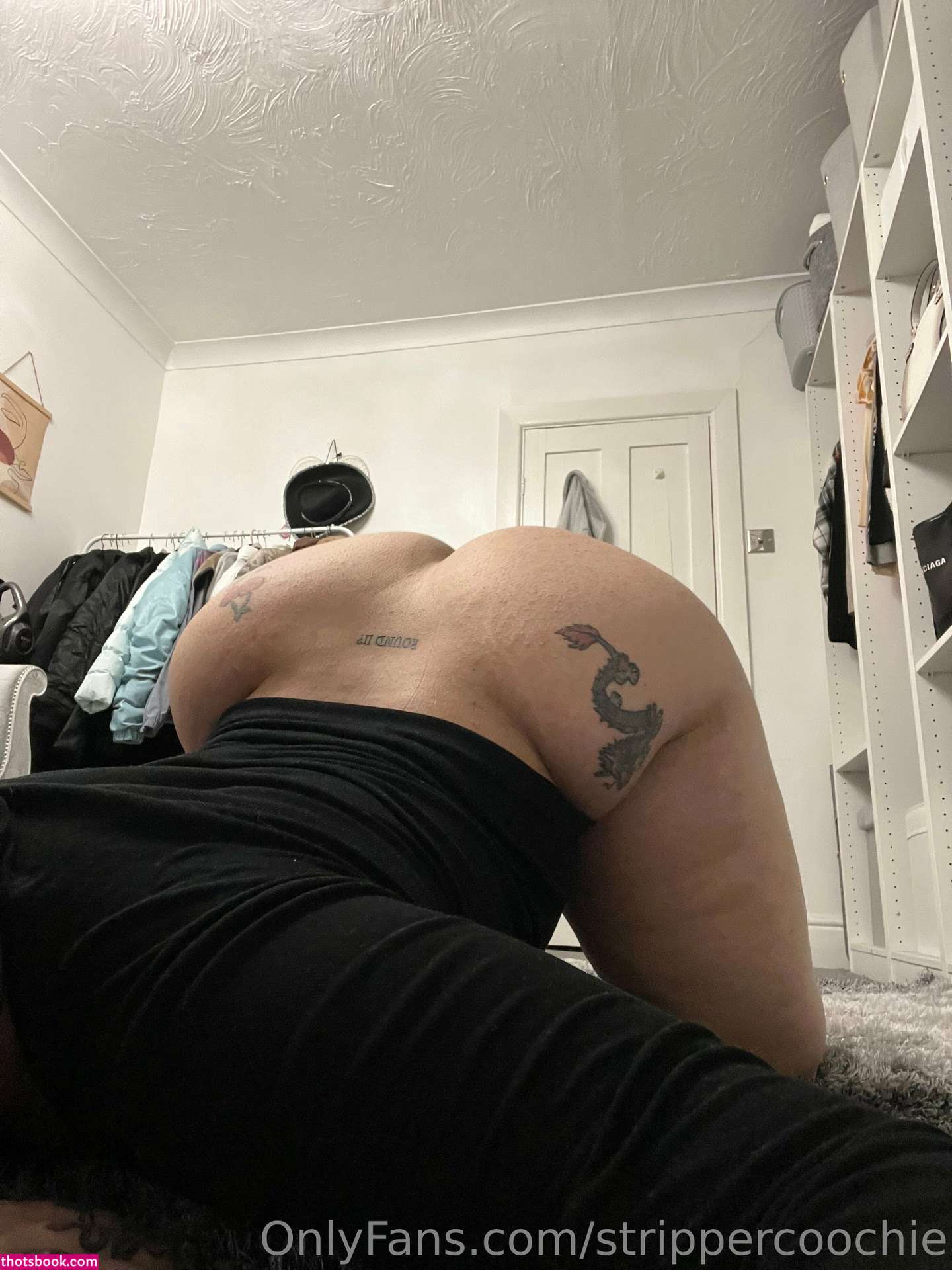 Mel Farahmand Photo #57