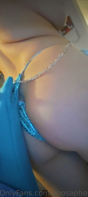 Goosaphone Photo #171