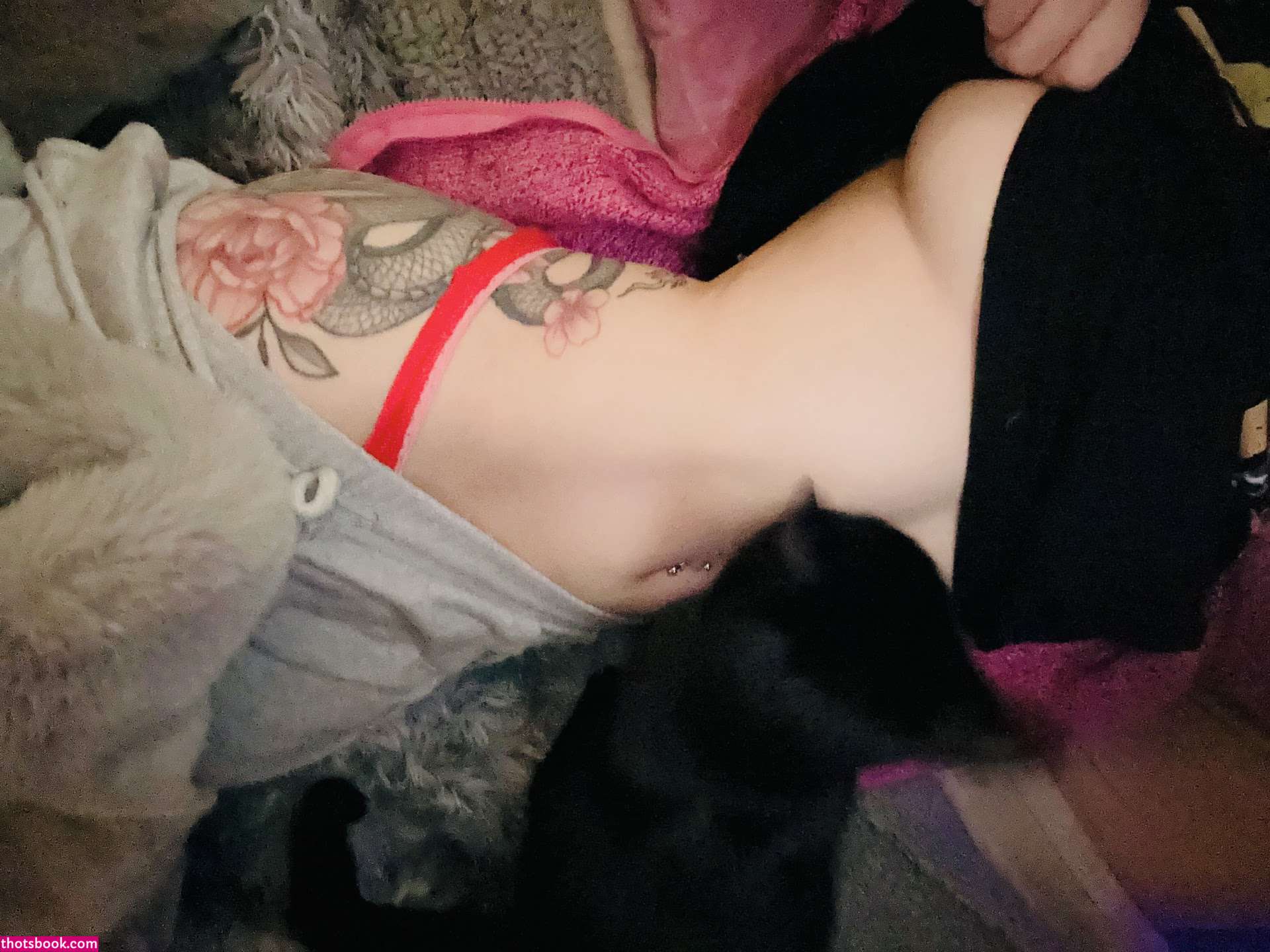 Kiwi Sunset Photo #600