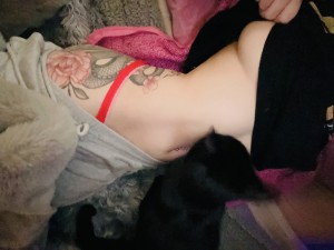 Kiwi Sunset Photo #600