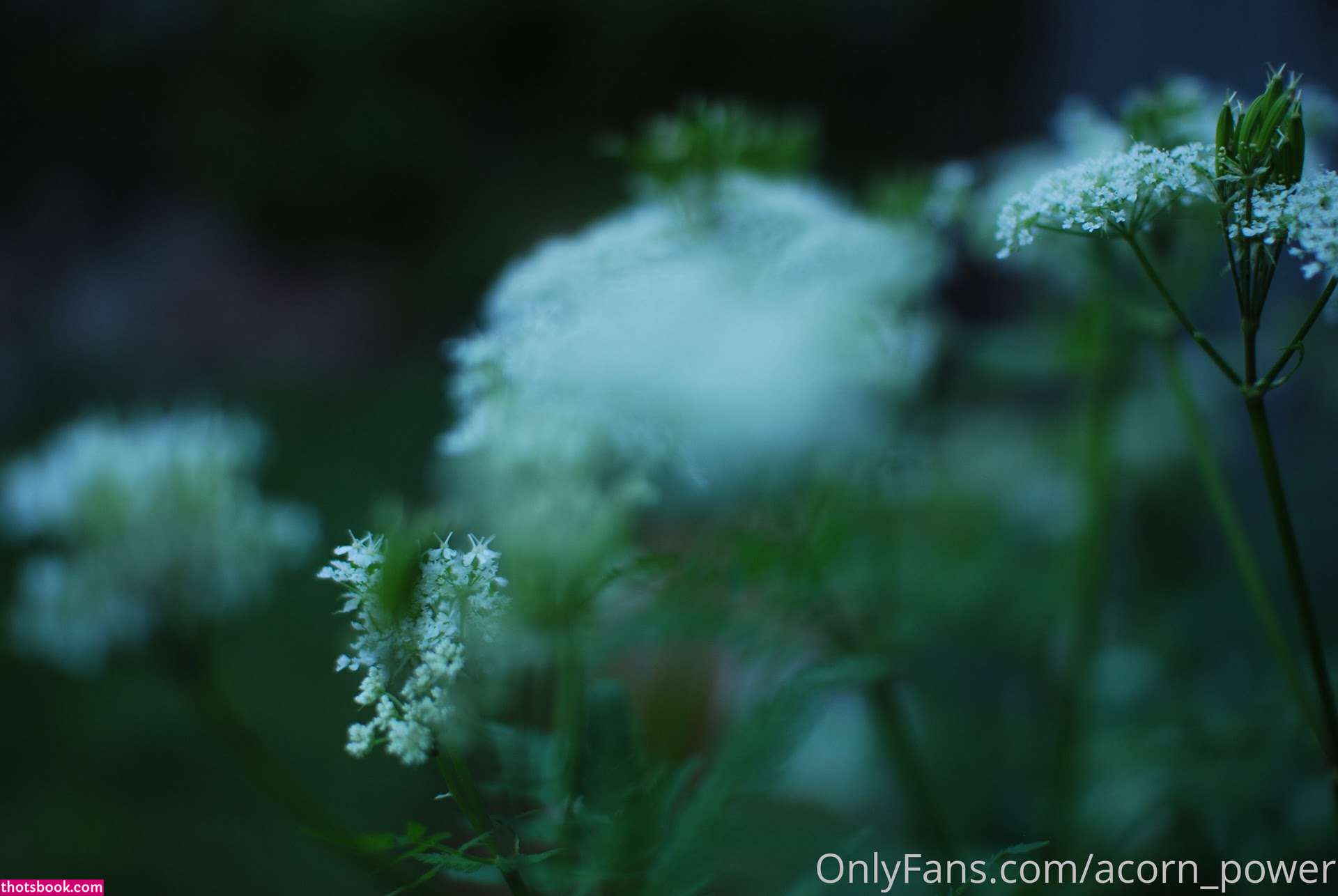 Claire Moulin Photo #189