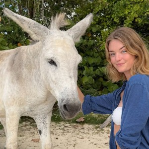 Willow Hand Post #24