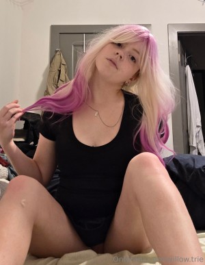 Willow Trie Photo #163