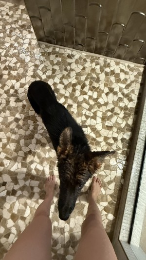 Caryn Marjorie Photo #287