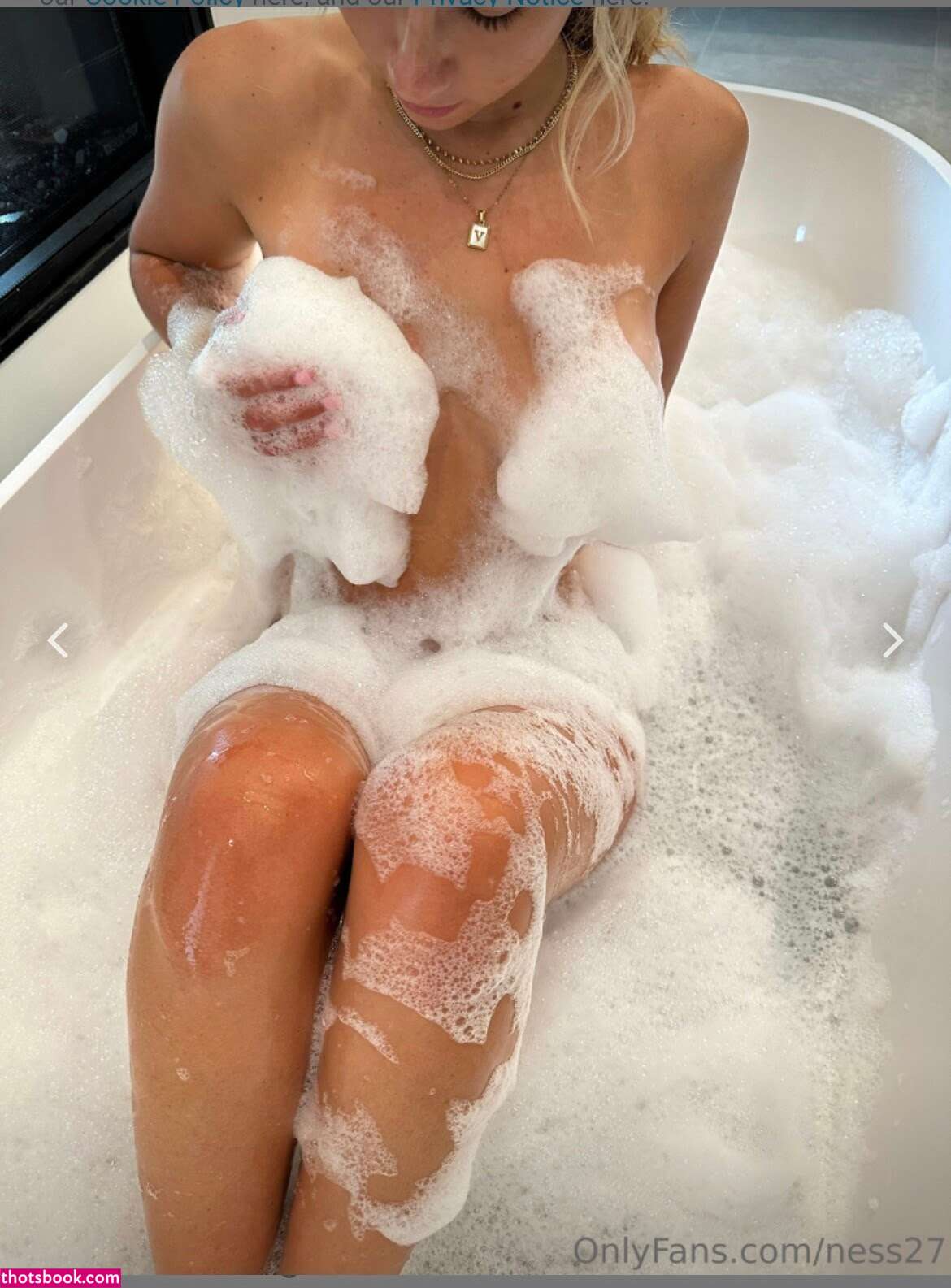 Vanessa Decesare Photo #25