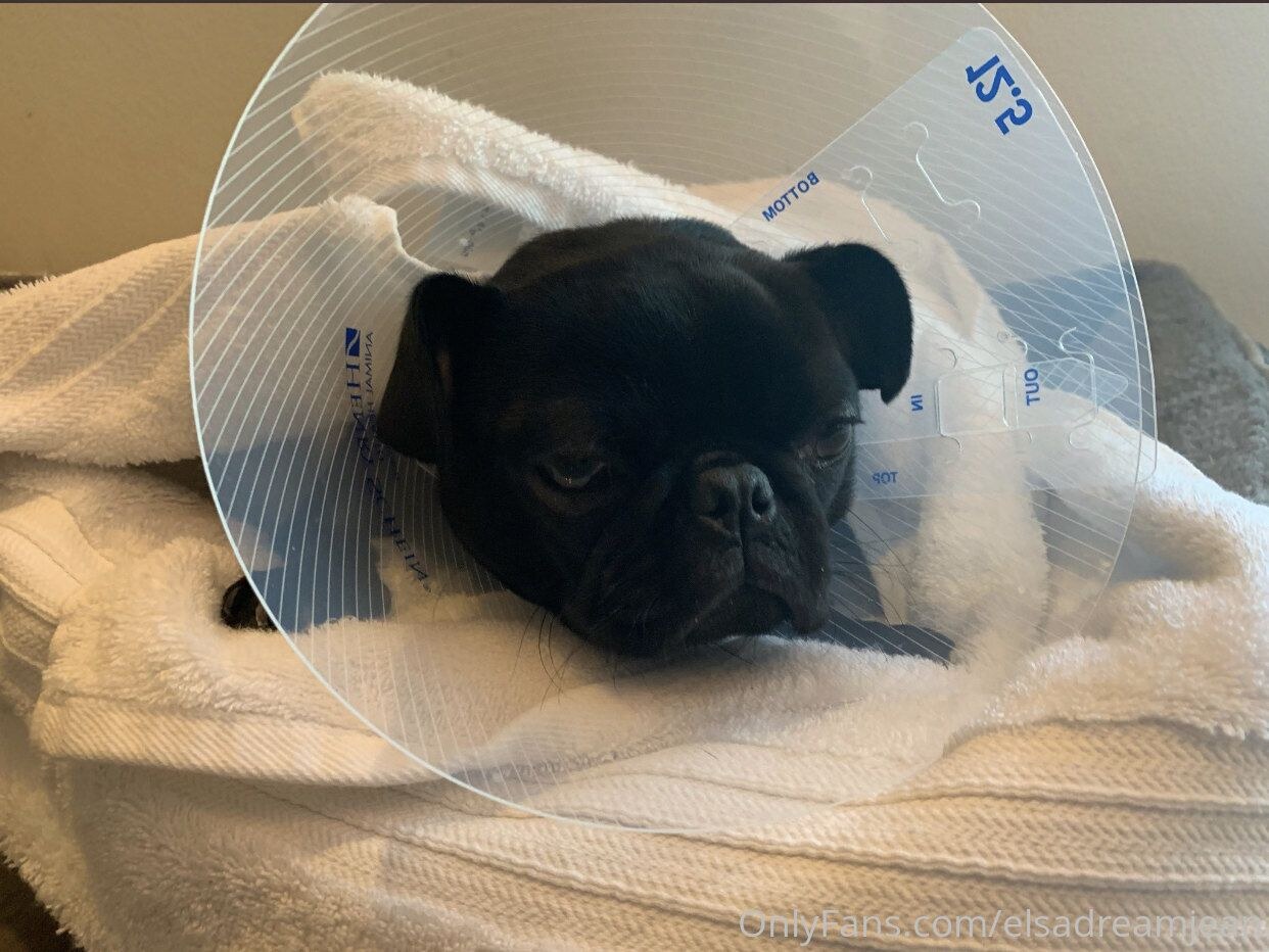 Elsa Jean Photo #288