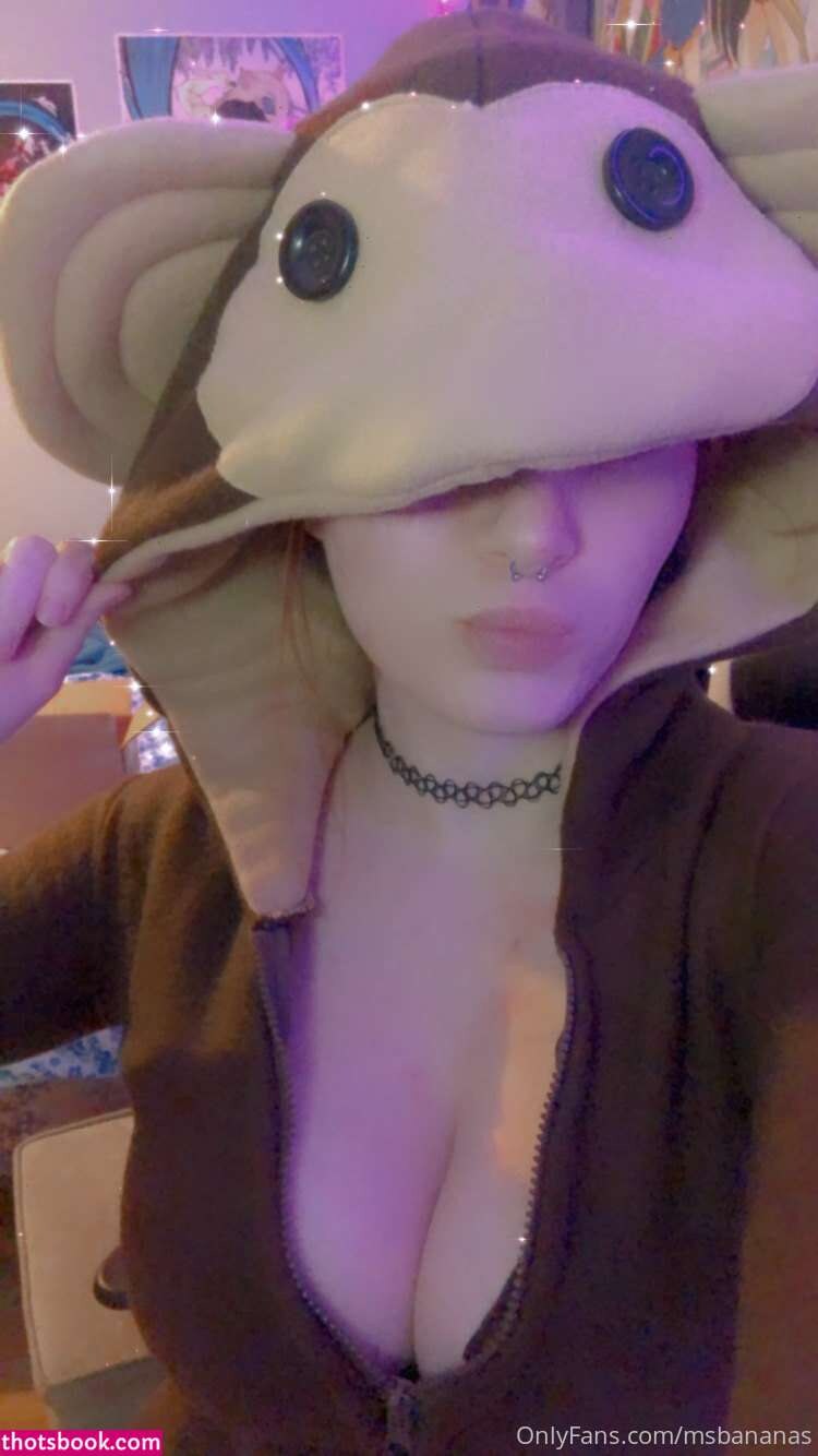 Creator Photo #123594