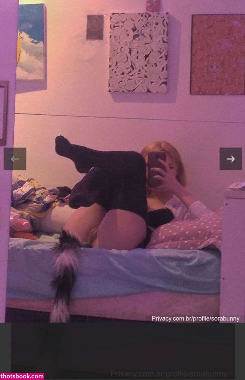 Sora Bunny Photo #19