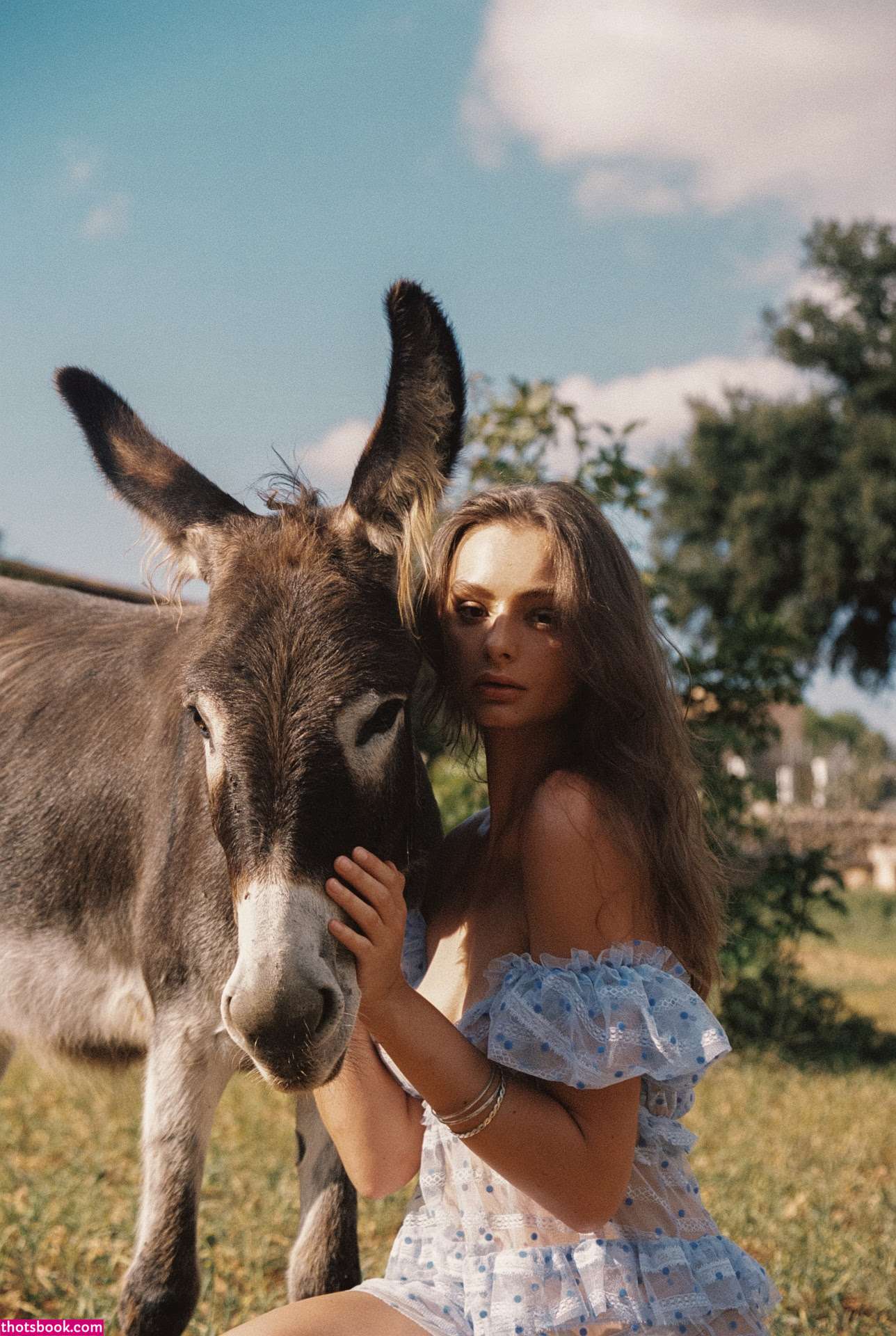 Series Magazine Photo #257