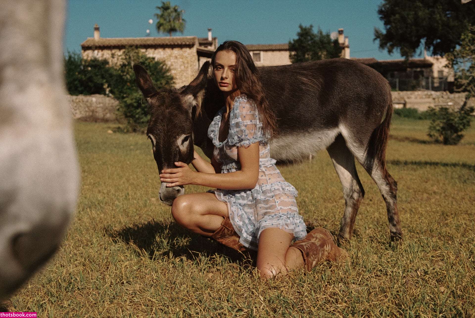 Series Magazine Photo #273