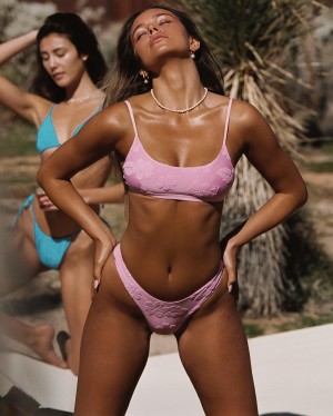 Adison Justis Photo #26