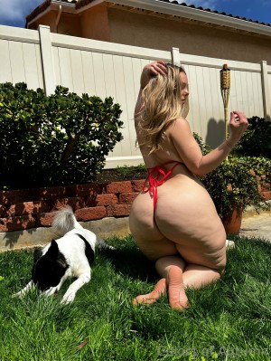 colorsofautumn Photo #32