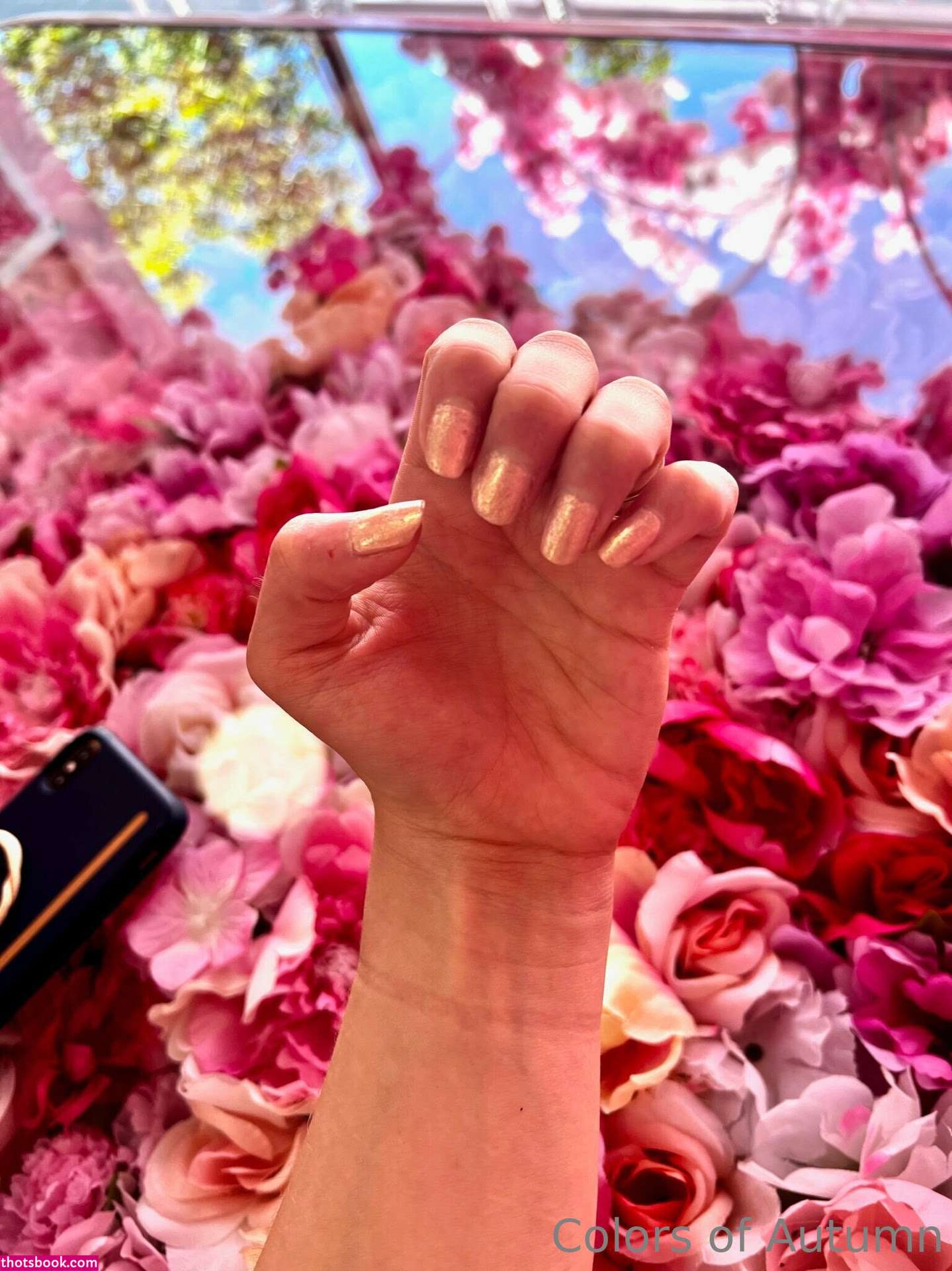 colorsofautumn Photo #47