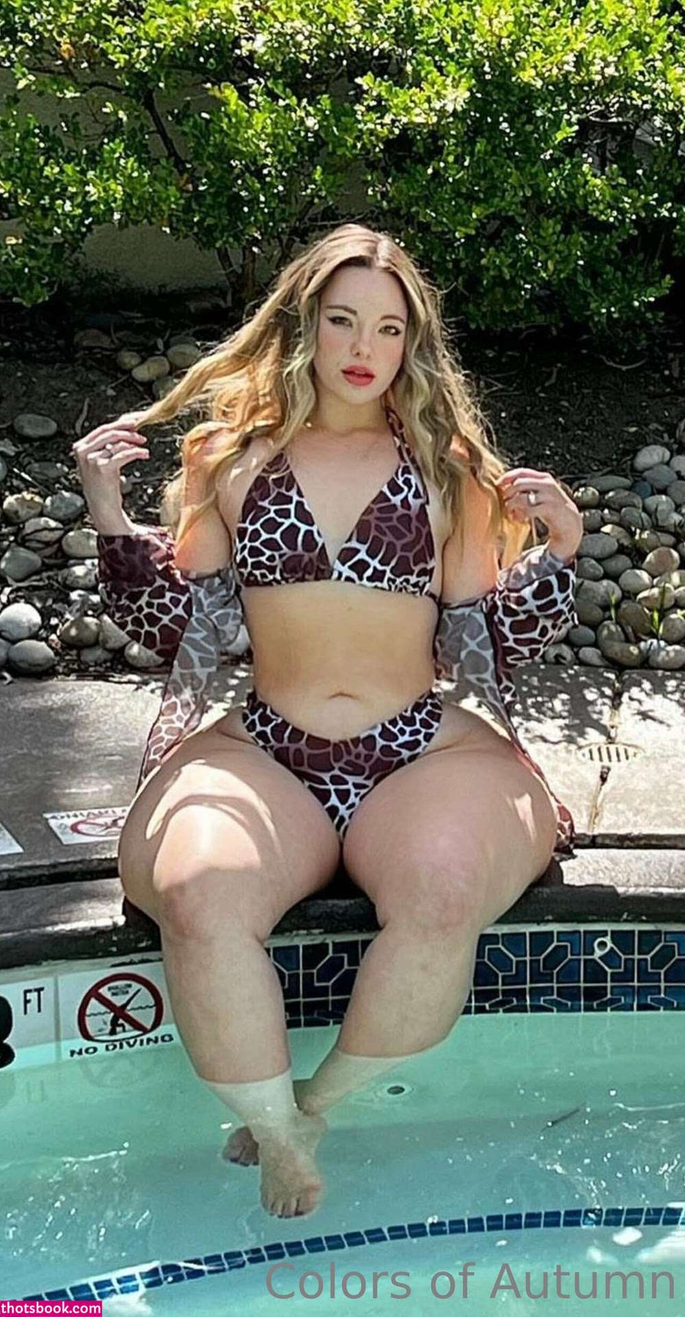 colorsofautumn Photo #62