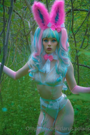 Clarus Polaris Photo #170